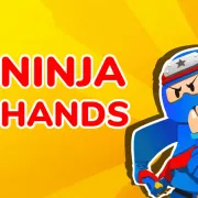 Ninja Hands